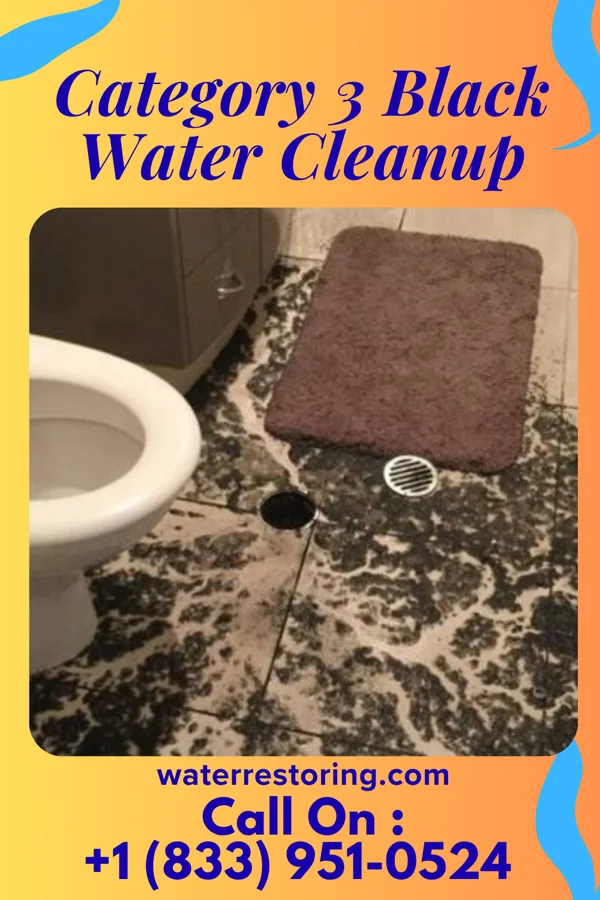 Category 3 Black Water Cleanup in Seymour, IN