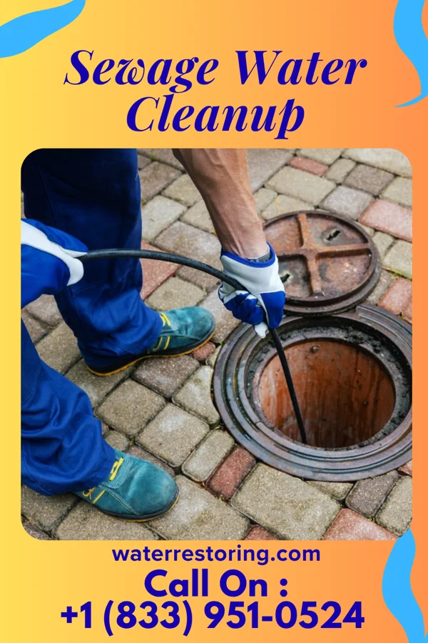 Sewage Water Cleanup in Seymour, IN