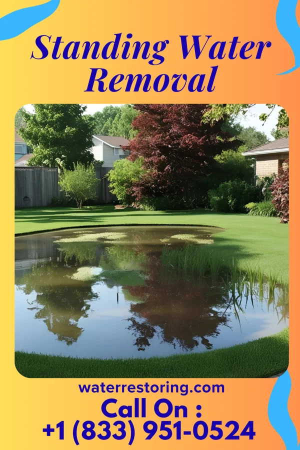 Standing Water Removal in Seymour, IN